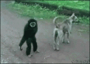 att2733641.gif